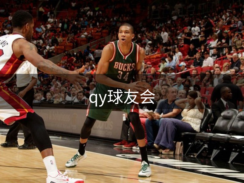 企业体系